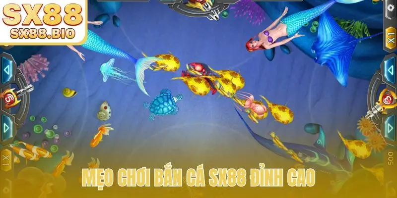 Mẹo chơi bắn cá SX88 đỉnh cao